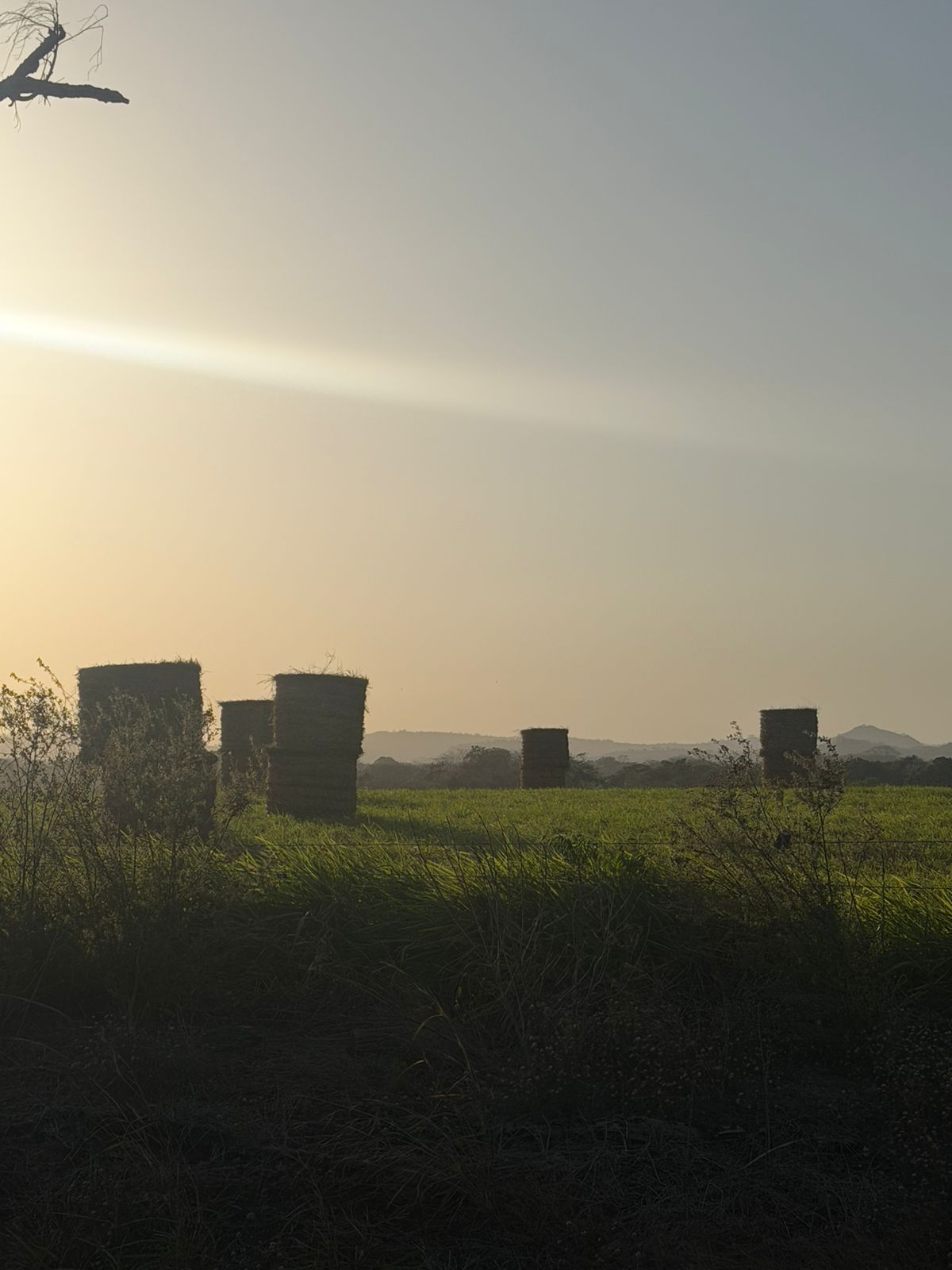 Trabajo de campo 1