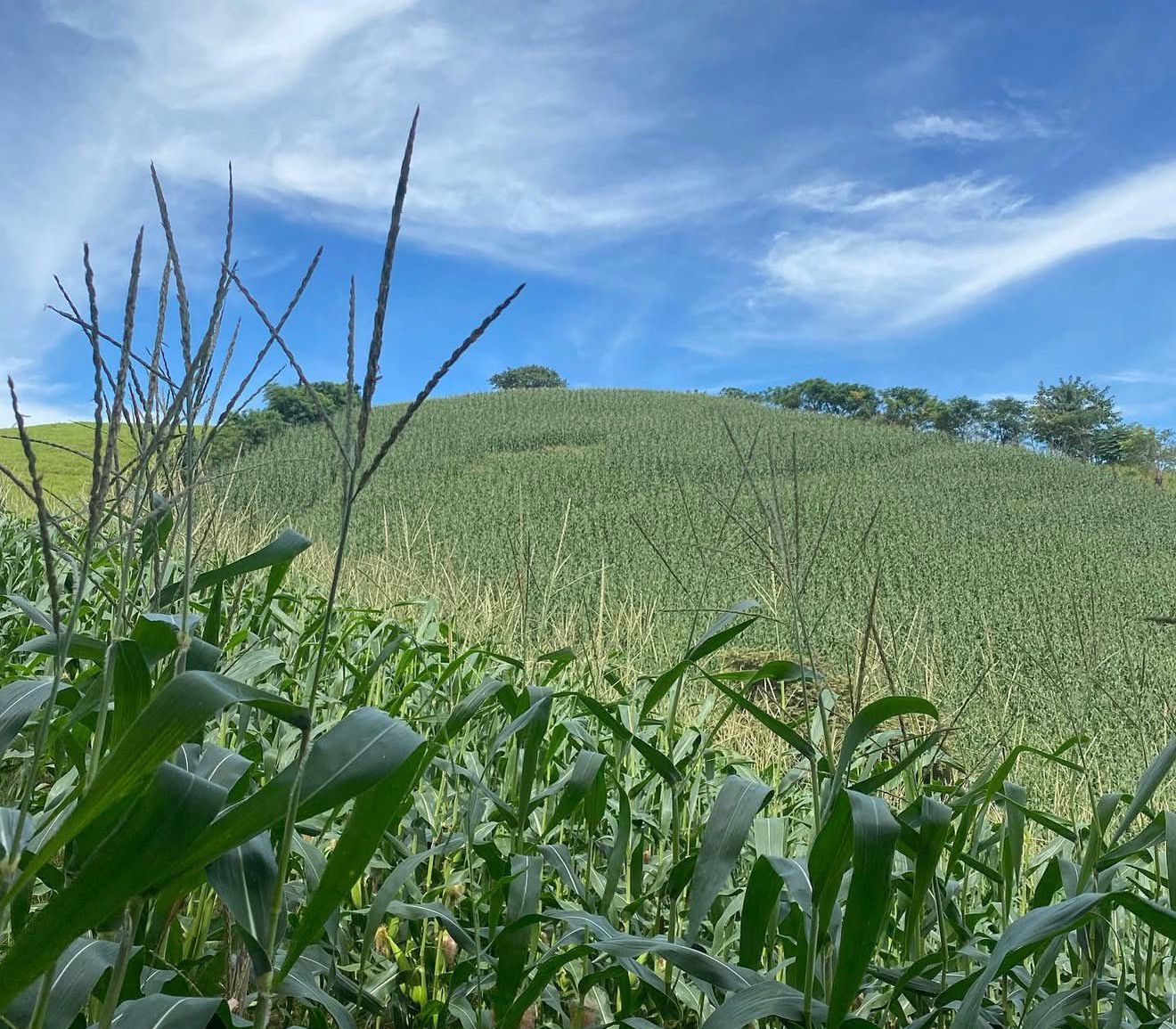 Trabajo de campo 2