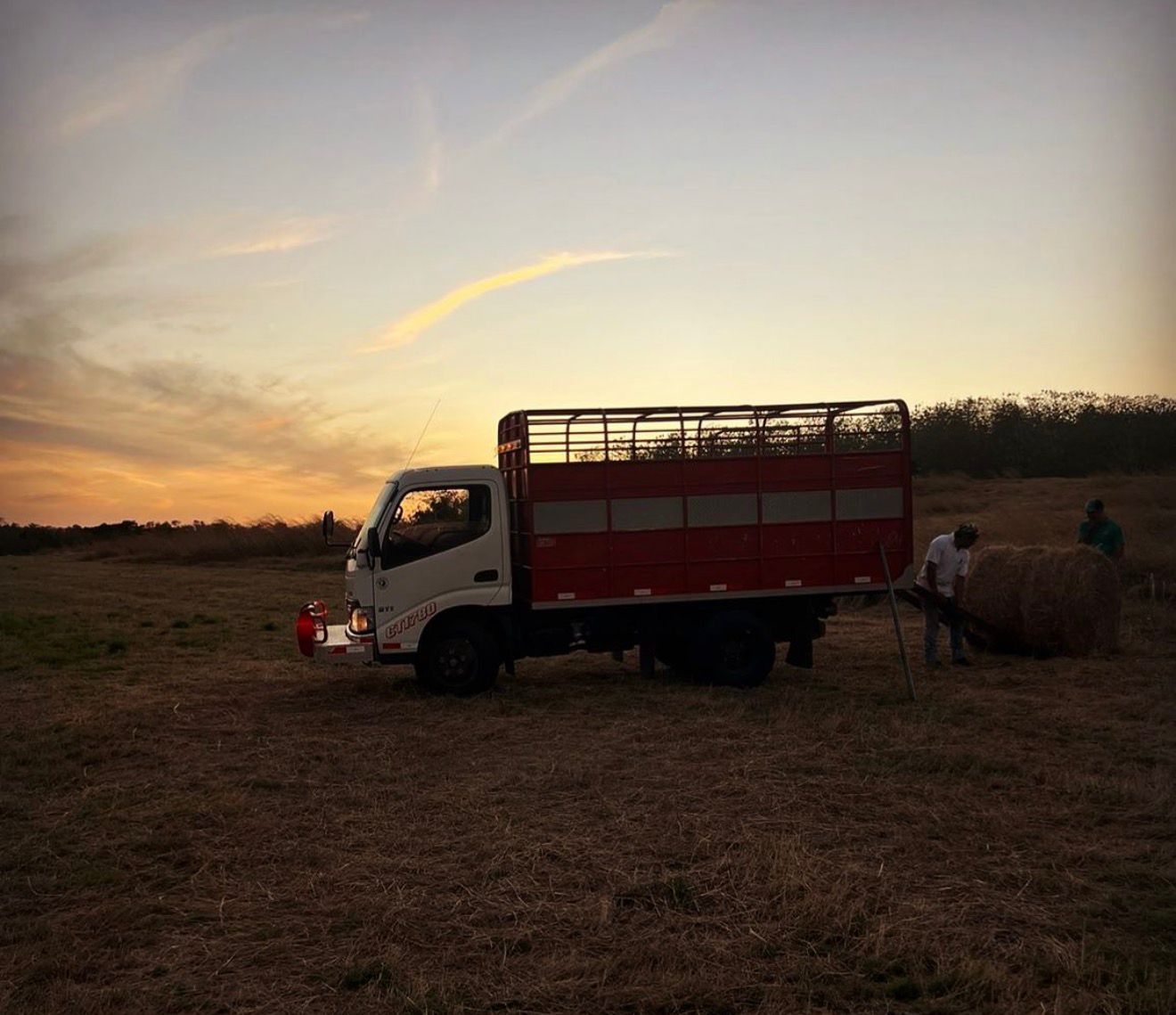 Trabajo de campo 4