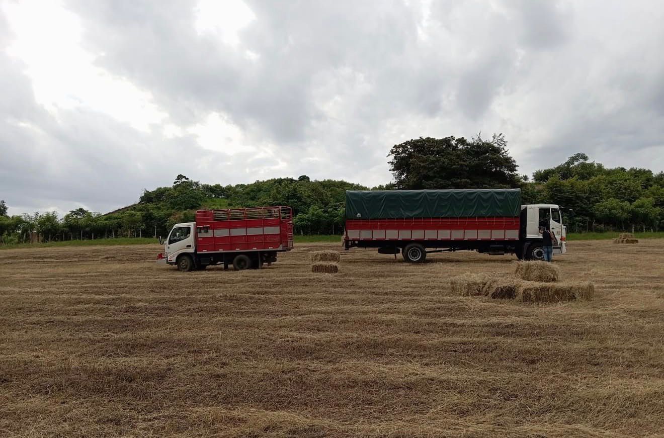 Trabajo de campo 6